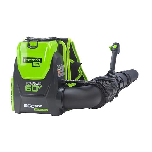 Greenworks Pro 60-Volt Backpack Leaf Blower