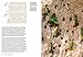 How Birds Live Together: Colonies and Communities in the Avian World