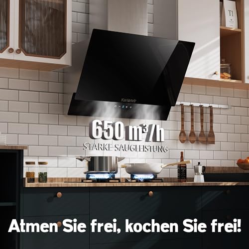 Dunstabzugshaube 60cm Seitenansaugung, 500m³/h Saugleistung, A++ Energieeffizienz, Edelstahl 430, 2x 1,5W LED-Beleuchtung, Touchpanel