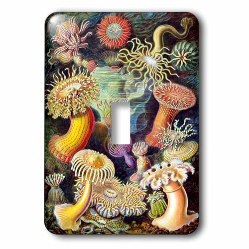 Interrupteur à bascule multicolore 3dRose LSP_98543_1 pour décoration murale