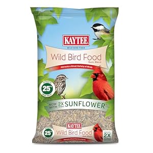 Kaytee Wild Bird Food Basic Seed Blend, 5 lb