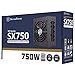 SilverStone SX750 Platinum, 750W SFX Fully Modular 80 PLUS Platinum Power Supply, SST-SX750-PT