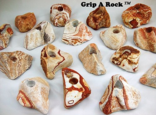 25 Rock Climbing Holds, Rock Climbing Equipment, Adult & Kids Climbing Wall, Bolt-ON