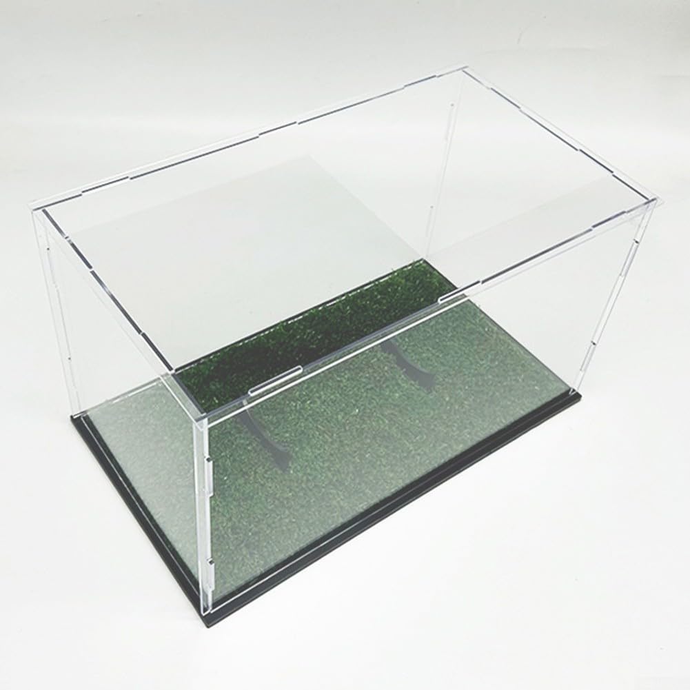 Vitrina de rugby de fútbol, caja de almacenamiento transparente de acrílico, organizador de almacenamiento extraíble a prueba de polvo para pelota de tamaño estándar, color negro y verde