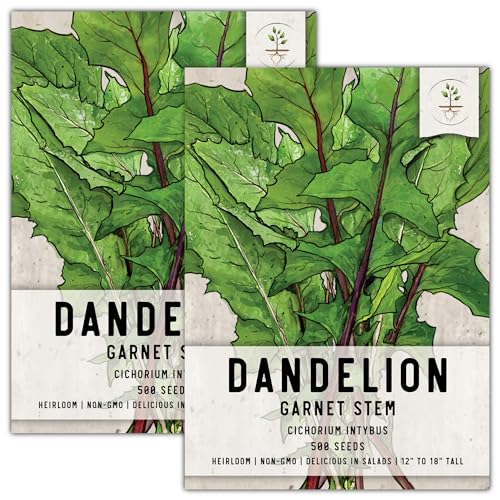 How to Grow Dandelions A Comprehensive Guide Garden Super Power