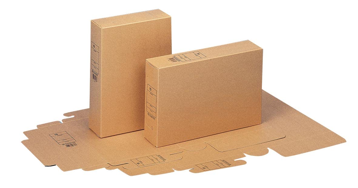 Esselte 5411313496803 - Scatola per archivio