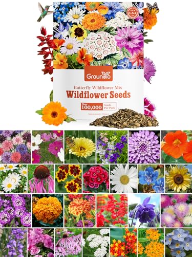 Wildflower Seeds Bulk, 1/4 lb, 100,000+ Seeds, 26 Variety Mix wit...