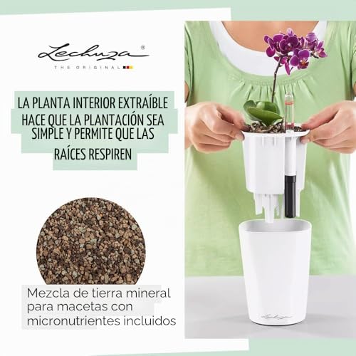 Miniatura 3 de Lechuza 14950 - Maceta Mini Deltini Kit Completo, Color Blanco 10 X 13