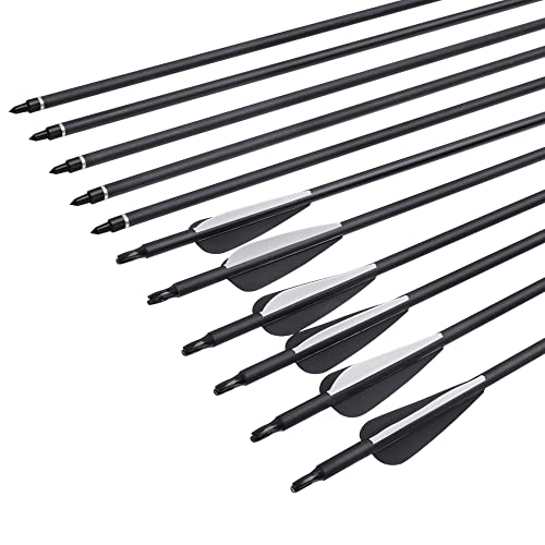 Archery Bow Carbon Arrow Hunting Target Practice Arrows 26 Inch With Removable Tips For Compound & Recurve Bow Spine 500 12 Pcs #TOP1