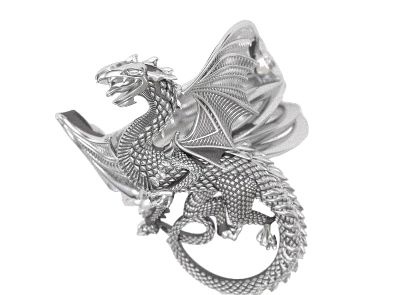 Amazon.com: Ssjewel Fantasy Dragon Ring Oxidized Gothic Retro Flying ...