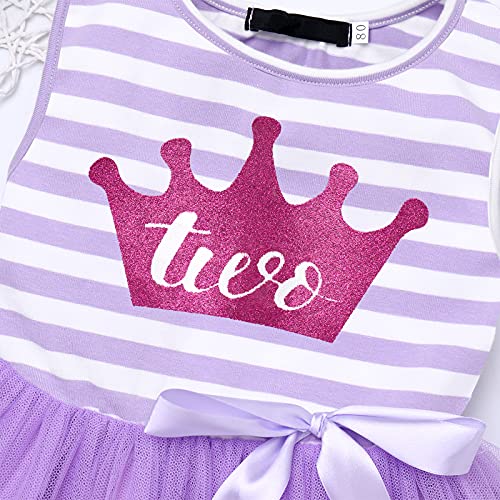Baby Girls Crown Princess Striped 1st/2nd Birthday Cake Smash Tulle Tutu Dress Toddler Kids Outfit3