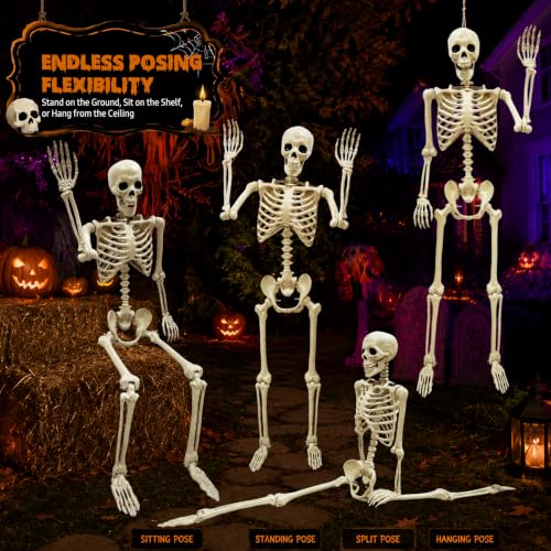 Image of NLShan Life Size Skeleton for Halloween: 5.4ft Human Anatomy Skeleton