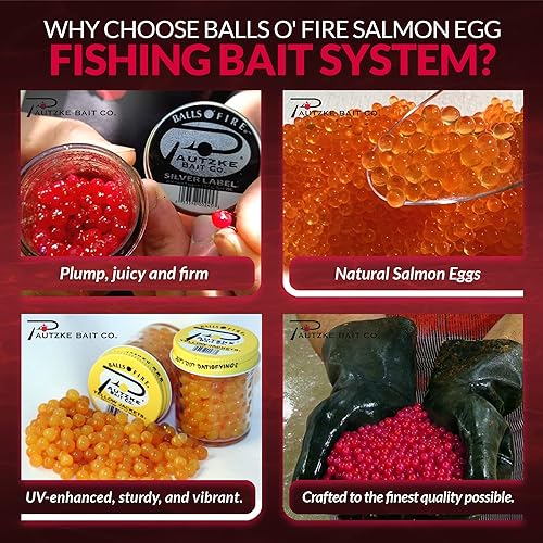 What is the best bait for trout? Top 5 Baits Rated Outdoors Cult