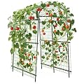 7.5FT Metal Garden Arch Trellis Arbor with Netting, Adjustable Width Pergola for Climbing Plants, Flowers, and Vegetables, Weather-Resistant, Easy Assembly for Outdoor Weddings & Events