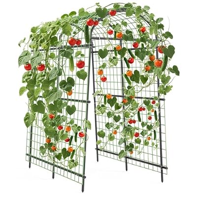 7.5FT Metal Garden Arch Trellis Arbor with Netting, Adjustable Width Pergola for Climbing Plants, Flowers, and Vegetables, Weather-Resistant, Easy Assembly for Outdoor Weddings & Events