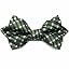 Dark Green George Plaid