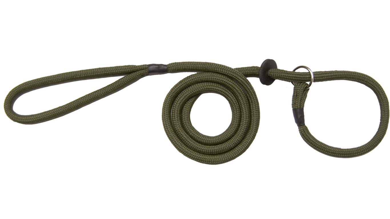 Bisley Basic Dog Slip Lead