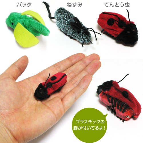 Amazon Taichi Bug Bug バグバグ てんとう虫 猫のおもちゃ 猫用おもちゃ 電動おもちゃ 猫用品 猫 ねこ ネコ ペット用品 ペットグッズ オ ネズミ ぬいぐるみ 通販 Amazon Taichi Bug Bug バグバグ てんとう虫 猫のおもちゃ 猫用おもちゃ 電動おもちゃ 猫用品 猫 ねこ ネコ ペット用品 ペットグッズ オ ネズミ ぬいぐるみ 通販