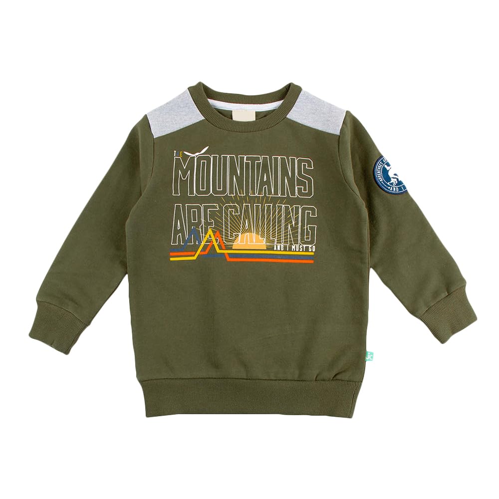 Hopscotch Boys Cotton Round Neck Sweatshirts