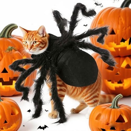 Halloween Kostüm Hund Groß, Verstellbar Halloween Hundekostüm, Schwarz Plüsch Spinnen-Kostüme Filz Pet Spinnenkostüm Lustige Katzenkostüm Cosplay Party Special Events für Hunde und Katzen (M)