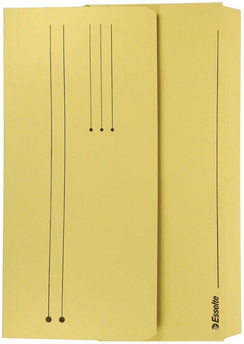Esselte Cartelline portadocumenti A4+, capacità 200 fogli, espandibili, cartelle ecologiche realizzate con carta riciclata al 100%, organizer per documenti