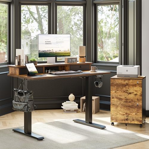 Image of TIQLAB Standing Desk with Two Drawers, Stand Up Standing Desk Adjustable Height, Electric Sit Stand Table with Storage Shelf and Splice Board, 48 * 24 inch, Rustic Brown