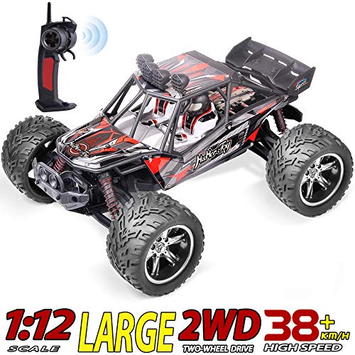 big radio controlled cars