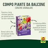 Compo B0BJQPQQGY lato 2