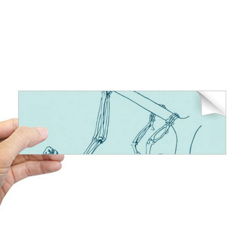 Autocollant squelette paresseux pour relooker vos cahiers