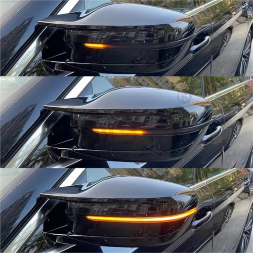 Intermitente dinámico LED indicador de espejo retrovisor BMW G38 G20 G30 RHD 2pcs 5
