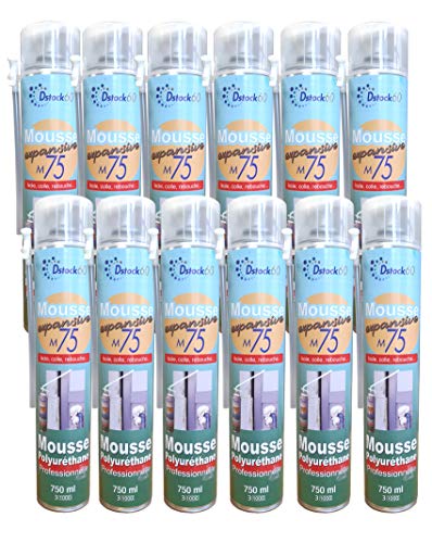 DSTOCK60 - LOT DE 12 MOUSSES EXPANSIVES MANUELLES 750ML - MOUSSE POLYURETHANE PROFESSIONNELLE - ISOLE, COLLE, REBOUCHE - EXTERIEUR ET INTERIEUR