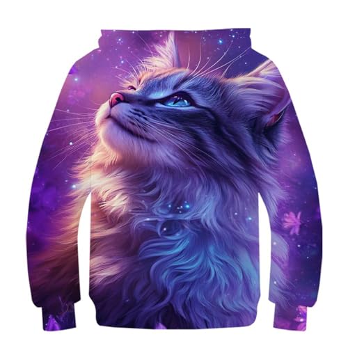 Sweat chat 3D ado sweat-shirt à capuche collège