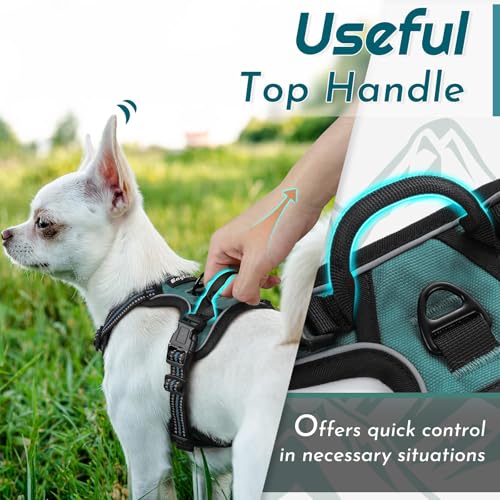 Image of Eagloo Dog Harness for Small Dogs, No Pull Pet Vest with 2 Leash Clips