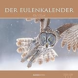 Calendario 2018 de pared \'Calendario de pared\"Búhos 2018 33 x 33 cm