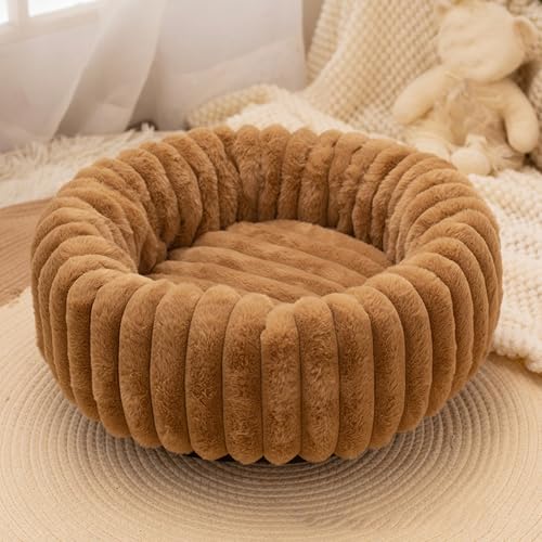 [ADSNS] L xbh J[3  ybgxbh ی^ pxbg 􂦂 ӂӂ h[ic LNbV ~ g h [΍ q ^ Lp ӂӂ ~ 􂦂 ybg\t@ 80 ʔN ^p 薰