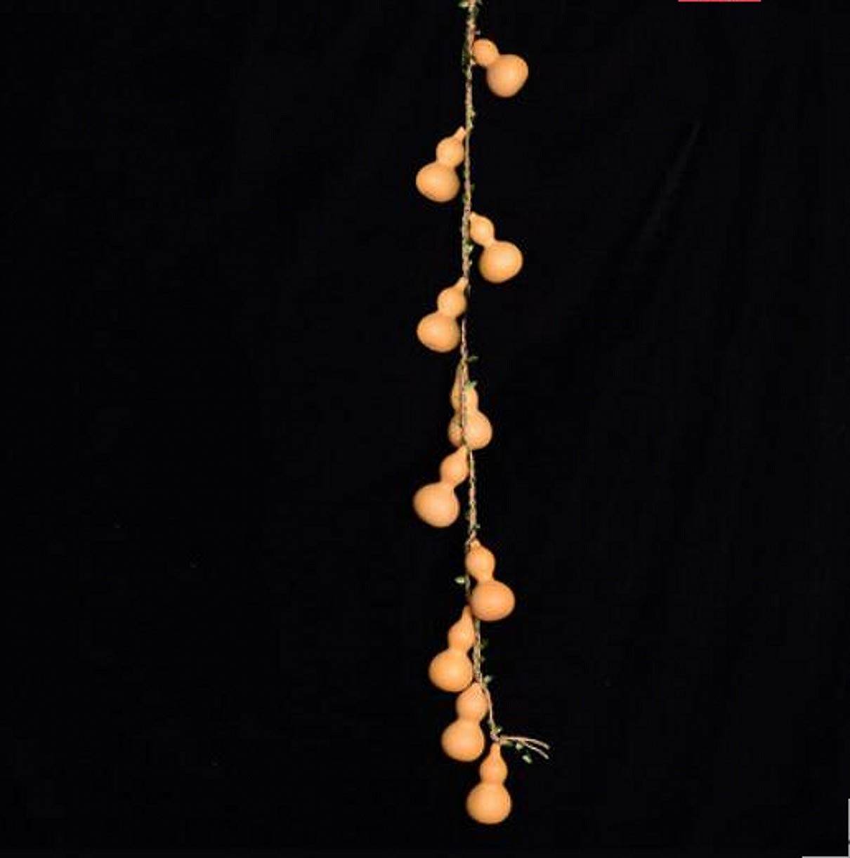 WellieSTR 1 Set Chinese Natrual Gourd/Good Luck Wu Lou/natual Hu Lu/Fengshui Natural Bagua Wu Lou (Wu Lu) Gourd Hanging Amulet W Children Natrual Gourd (10 in 1, ShiQuanShiMei十全十美)- Size L : 8~12cm