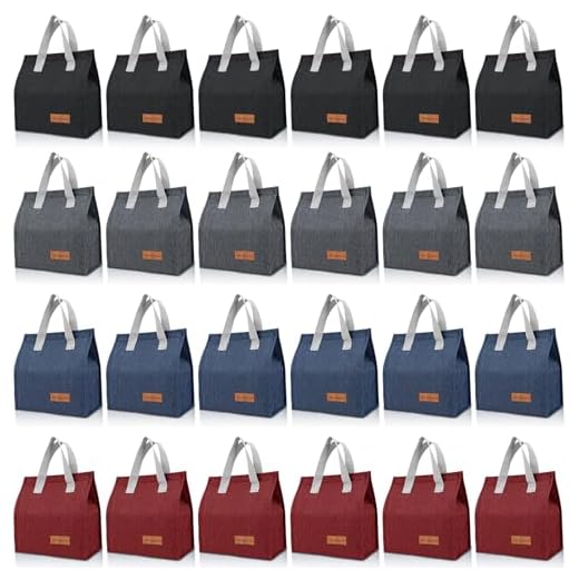 Can you take sandwiches in your hand luggage VZZNN Bulk Insulated Lunch Bags – 24 Pack