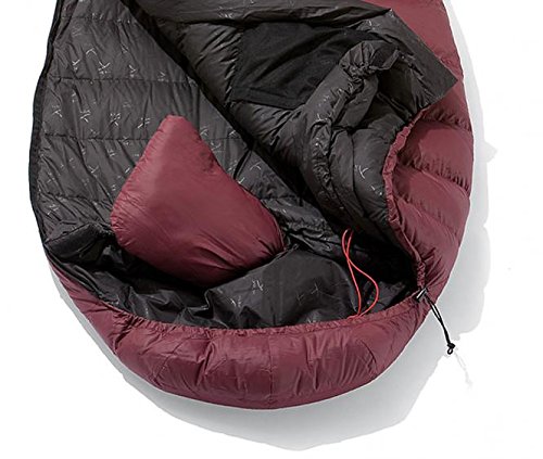 YETI Sunrizer 600, Violett/Schwarz Violett/Schwarz M Sport & Freizeit
