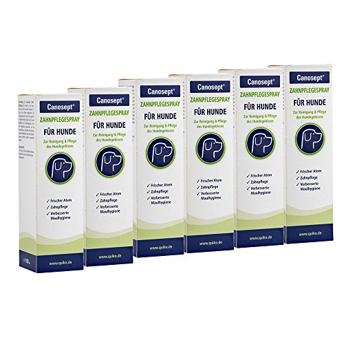 Canosept Zahnpflegespray 6 x 100ml