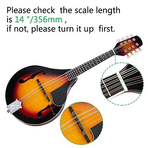 image for Guangshuohui Elegant Mandolin Musical Instrument,A Style Mandolin Inst