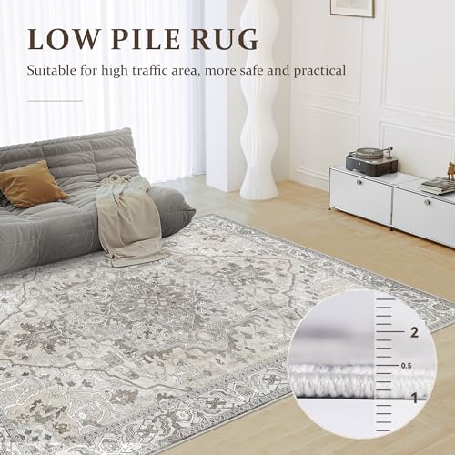 Deerly Washable Bedroom Area Rug 4x6 Indoor Thin Carpet for Living Room Boho Vintage Rug for Kitchen Entryway Dining Room Office Non-Slip Low Pile, Beige/Multi