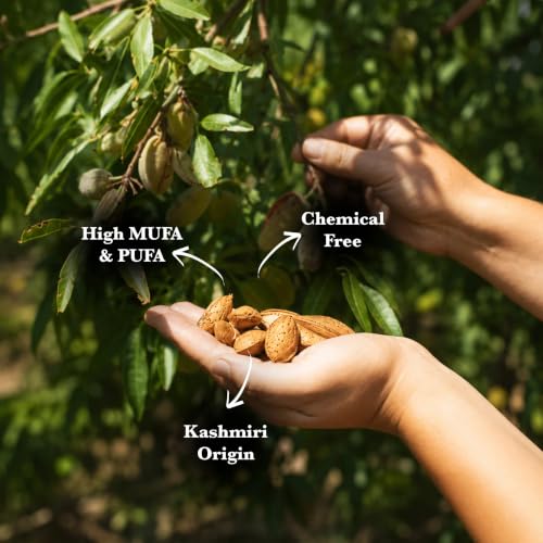 Image of Nectardale Kashmiri Almonds with Shell Pack of 1 | 400g | Premium Whole Almonds in Natural Shell | Crunchy, Fresh & Naturally Nutritious Kashmiri Badam | Ideal for Snacking, Gifting & Everyday Use