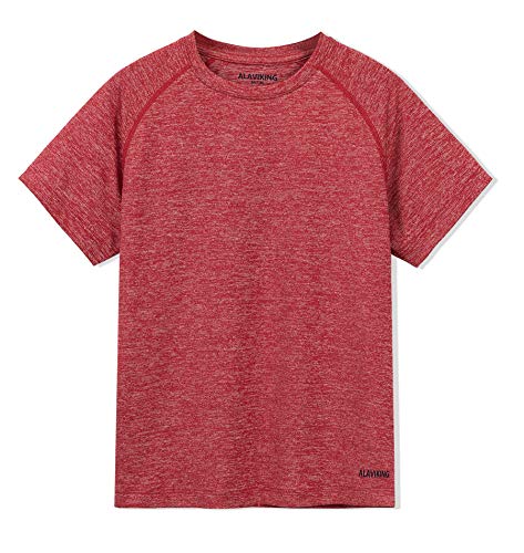 ALAVIKING Kids Quick Dry Short Sleeve T Shirts Basic Athletic Running Tee Shirt for Boys and Girls 3-12 Years