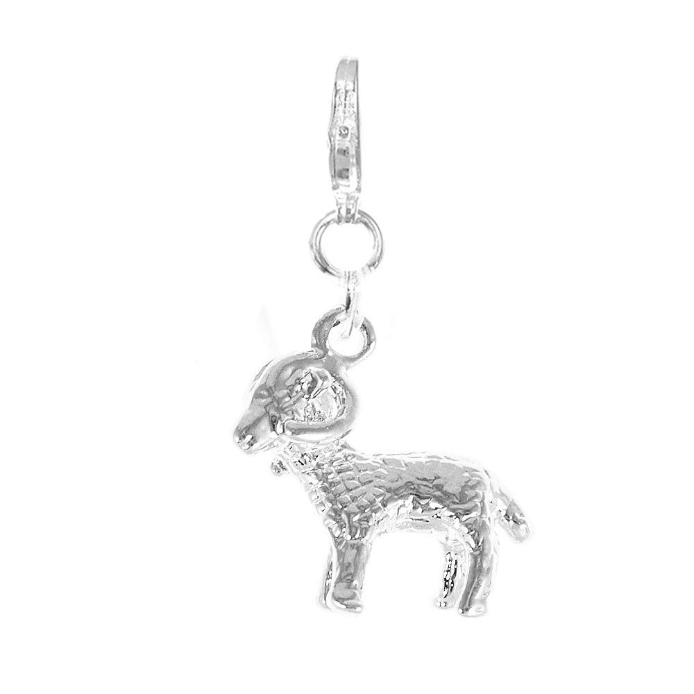 SC CrystalWomen's silver tone, rhodium-plated metal charm, gift idea for women - Click on "Visit the SC Crystal Store" to see our jewellery., Metal