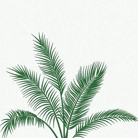 20 Napkins Single Palm Branch | Jungle | Natural | Summer 33 x 33 cm Cover