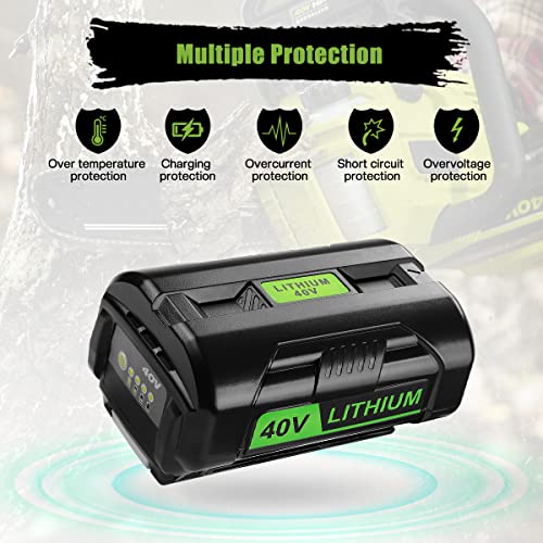 Ahomtikk 40V Battery Protection