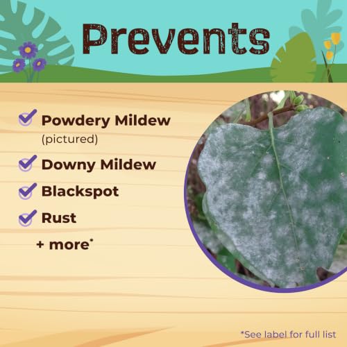 Bonide Captain Jack's Rose Rx 4-in-1 Insect & Disease Control, 32 oz Ready-to-Use Spray Neem Oil for Organic Gardening - image 4