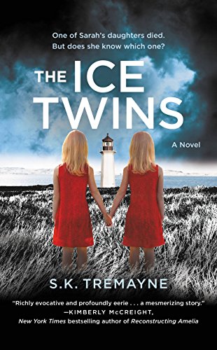 The Ice Twins: A Novel The Ice Twins: A Novel