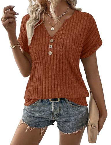 Image of LURANEE Womens Short Sleeve Sweaters V Neck Tops Lightweight Dressy Casual Shirts Work Blouses S-XXL