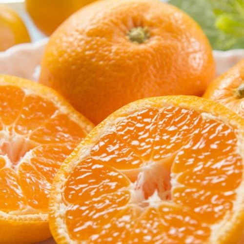 [先行予約][秀品]和歌山下津みかん約5kg(MサイズまたはLサイズのいずれかをお届け)[TM74]